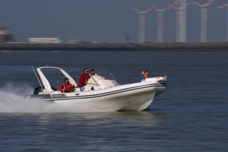 Zeebrugge: Seal Watching Boat Tour With Glass of Champagne - Key Points