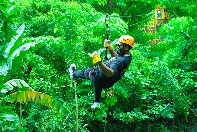 Zipline Expedition In Punta Cana - Key Points