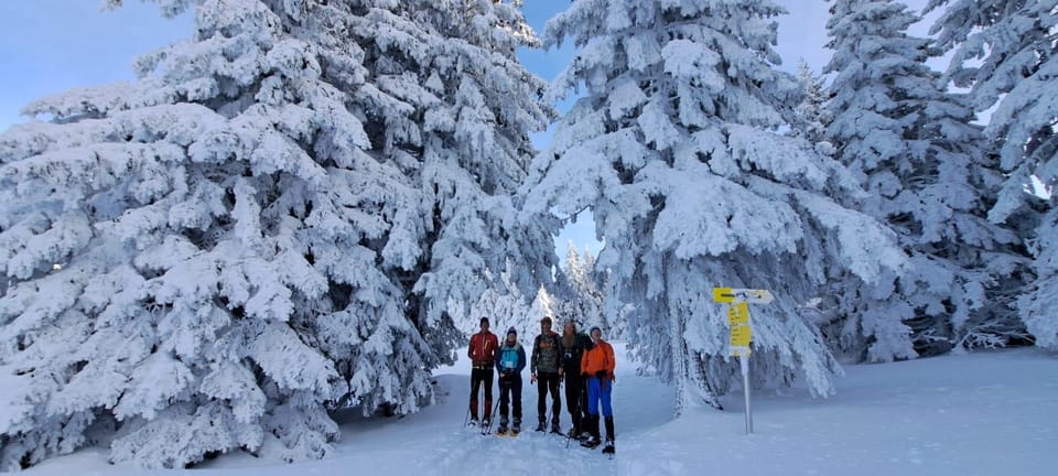 Zugspitze: Snow Shoe Tour and Instruction in Ehrwald - Key Points