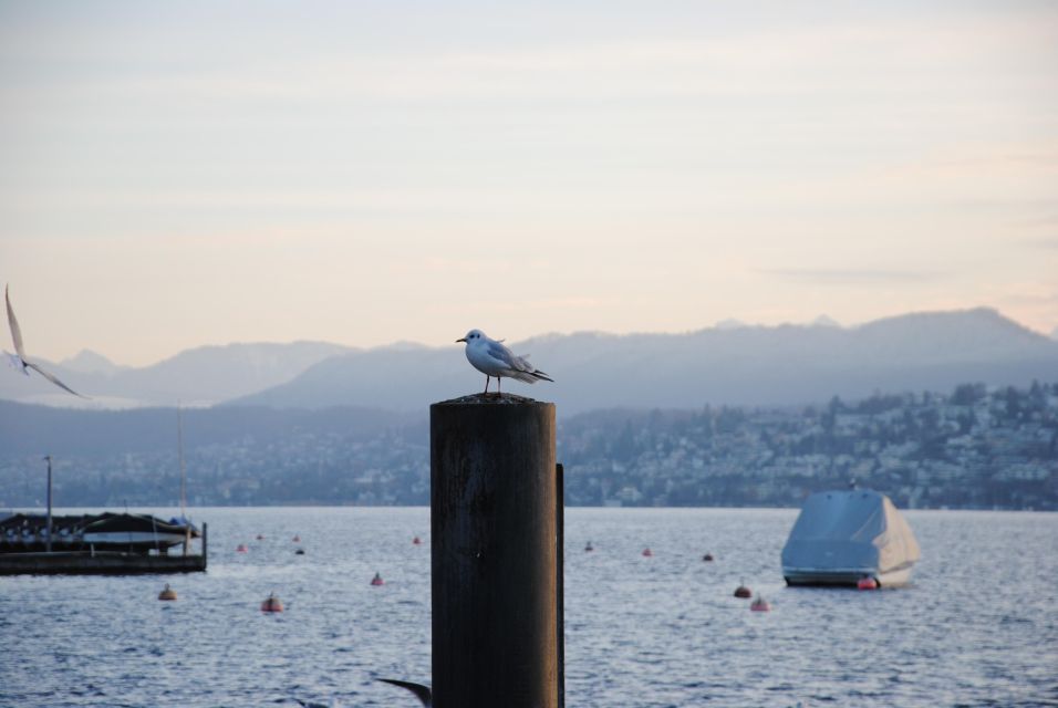 Zurich: 360° City Walk Including Hidden Spots - Key Points