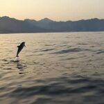 2.5 Hours Sunset Tour With Aperitif In Search Of Dolphins Tour Overview