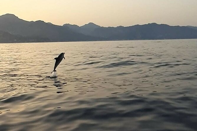 2.5 Hours Sunset Tour With Aperitif In Search Of Dolphins Tour Overview