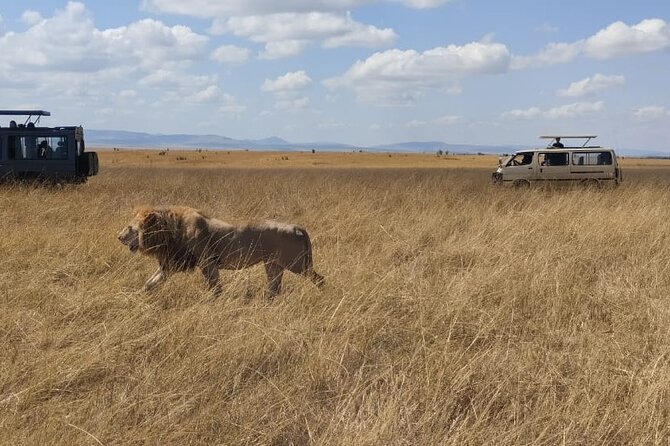 4-Day Masai Mara, L Naivasha and L Nakuru Safari - Overview of Safari Destinations