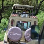 4 Days Serengeti & Ngorongoro Mid Range Tour Tour Overview