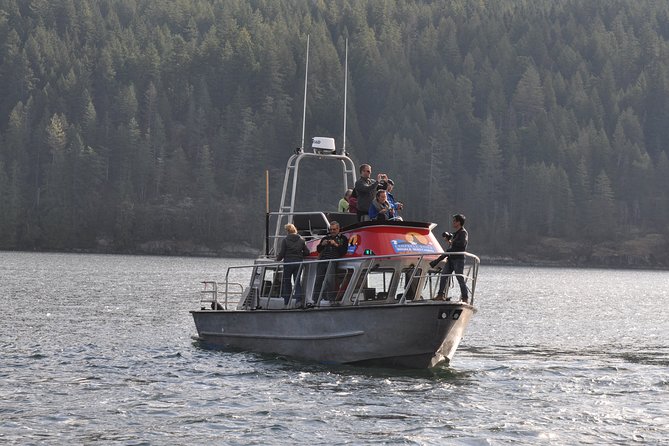 4 Hour Covered Boat Whale And Wildlife Tour Tour Overview