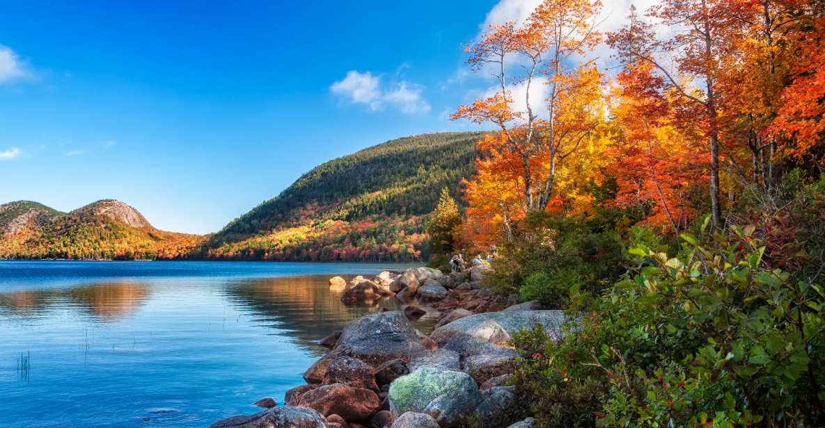 Acadia: Bar Harbor & Ocean Path Self-Guided Audio Tours - Tour Overview and Pricing