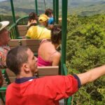 Adrena Line Zipline Canopy Tour At Rainforest Adventures St. Lucia Overview Of The Experience