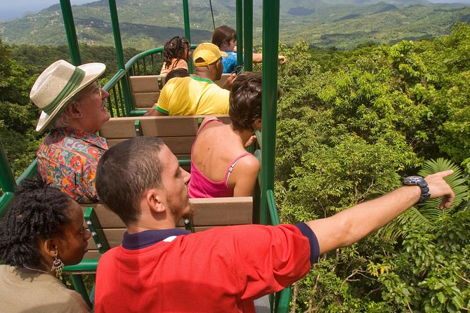 Adrena-Line Zipline Canopy Tour at Rainforest Adventures St. Lucia - Overview of the Experience