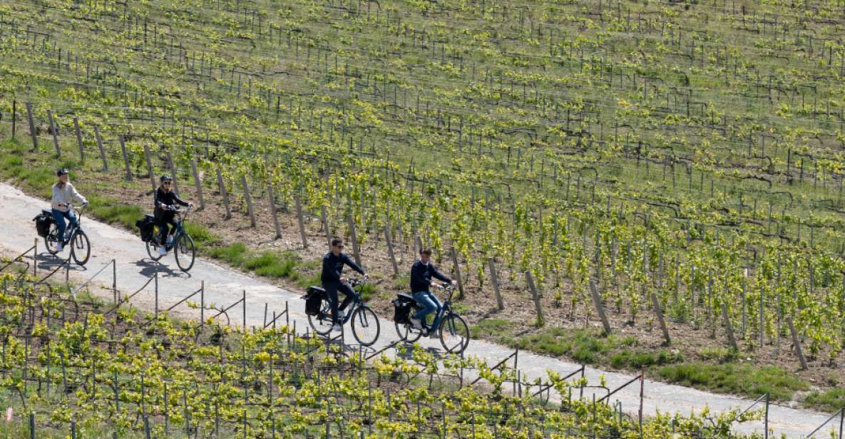 Afternoon E-Bike Champagne Tour From Reims - Tour Overview