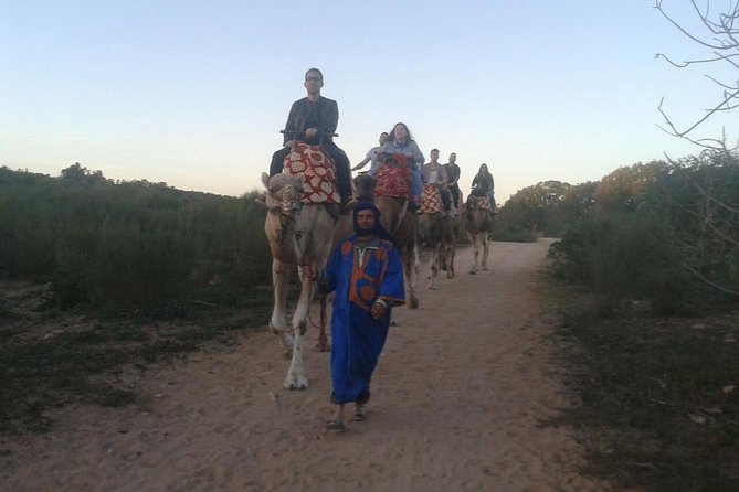 Agadir Camel Riding +Sunset and Dinner( Barbecue) - Flamingos and Egrets Spotting