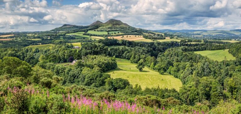 Alnwick Castle, Northumberland & Scottish Borders 1 Day Tour Tour Description