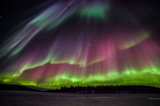 Amazing Aurora Bbq In The Best Spot In Rovaniemi! Transportation And Pickup