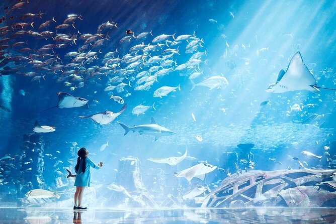 Atlantis Lost-Chamber Aquarium Dubai - Overview and Ticket Information