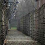 Auschwitz And Birkenau Guided Tour From Krakow Visiting Auschwitz And Birkenau Sites