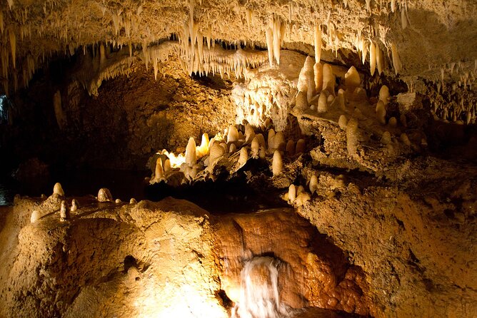 Barbados Shore Excursion Harrisons Cave Tour and Turtle and Shipwreck Cruise - Tour Overview and Highlights