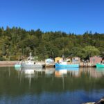 Bay Of Fundy Tour By Bus Tour Details