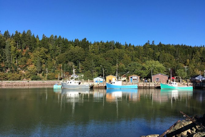 Bay Of Fundy Tour By Bus Tour Details