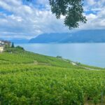 Bern: Gruyères & Lavaux Vineyard Day Trip With Cheese & Wine Overview Of The Day Trip