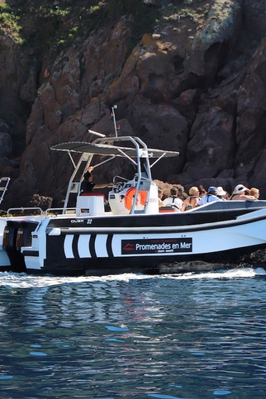 Calvi: Scandola and Girolata 6-Hour Boat Tour - UNESCO-Listed Scandola