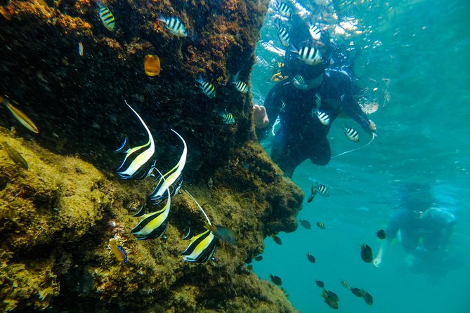 Cape Vidal Snorkeling Adventure - Overview of South Africa