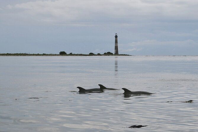 Charleston Eco Boat Cruise With Stop at Morris Island Lighthouse - Overview of the Eco Boat Cruise