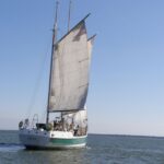 Charleston: Schooner Sailing Harbor Tour & Dolphin Watch Activity Overview