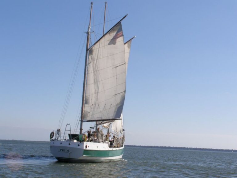 Charleston: Schooner Sailing Harbor Tour & Dolphin Watch Activity Overview