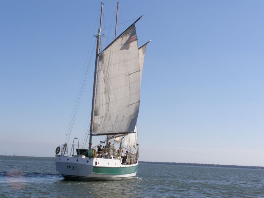 Charleston: Schooner Sailing Harbor Tour & Dolphin Watch - Activity Overview