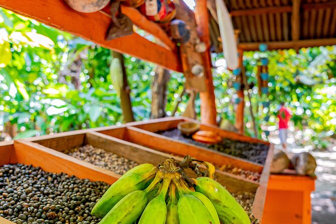 Dominican Republic Countryside Safari Tour From Punta Cana - Cigar-Rolling Demonstration