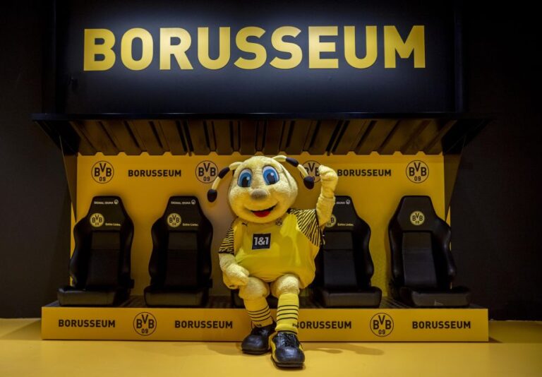 Dortmund: Borussia Dortmund Museum Entry Ticket Product Details