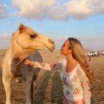 Dubai Desert Safari With Camel Riding, Sand Boarding,bbq Dinner And 3 Live Shows Overview Of The Dubai Desert Safari