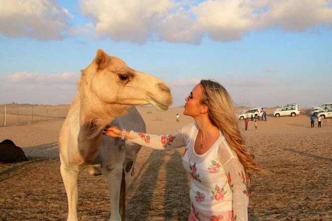 Dubai Desert Safari With Camel Riding, Sand Boarding,Bbq Dinner and 3 Live Shows - Overview of the Dubai Desert Safari