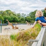 Dublin Zoo Skip The Line Tickets And Private Transfers Overview And Pricing