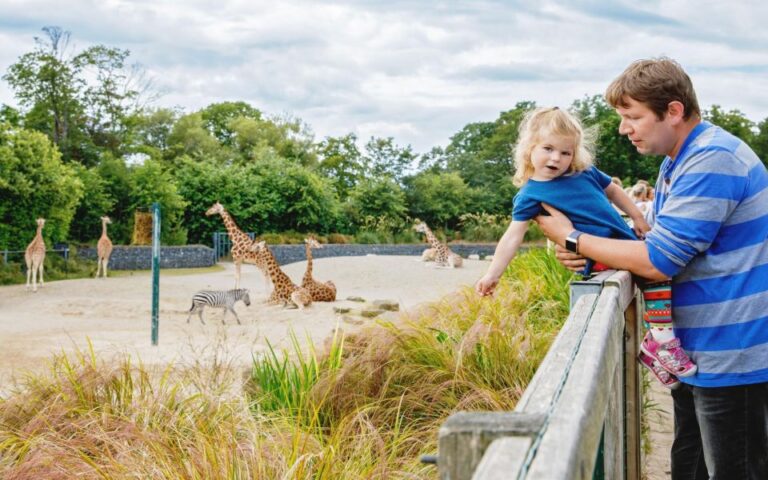 Dublin Zoo Skip The Line Tickets And Private Transfers Overview And Pricing