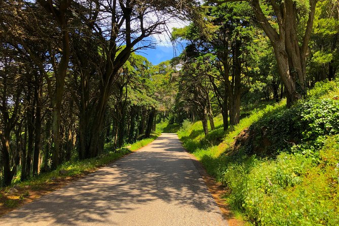 E-Bike Self-Guided Sintra - Cascais (Private Tour From Lisbon) - Tour Overview and Highlights