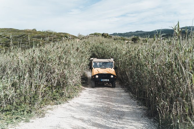 Epic Off Road Adrenaline In Sintra Tour Overview