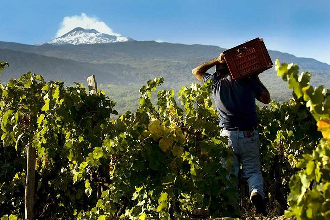 Etna Private Tour From Messina Cruise Terminal + Lunch At Winery Tour Overview