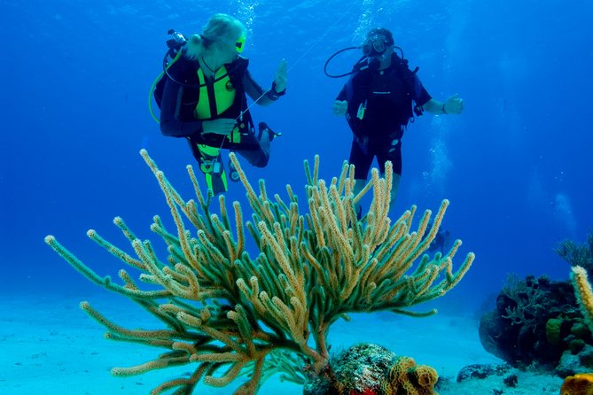 First Time Scuba Diving Experience in Punta Cana - Exploring the Vibrant Coral Reefs