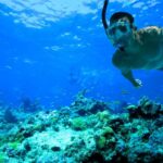 Florida Keys: Full Day Kayak And Snorkel Reef Adventure Activity Overview