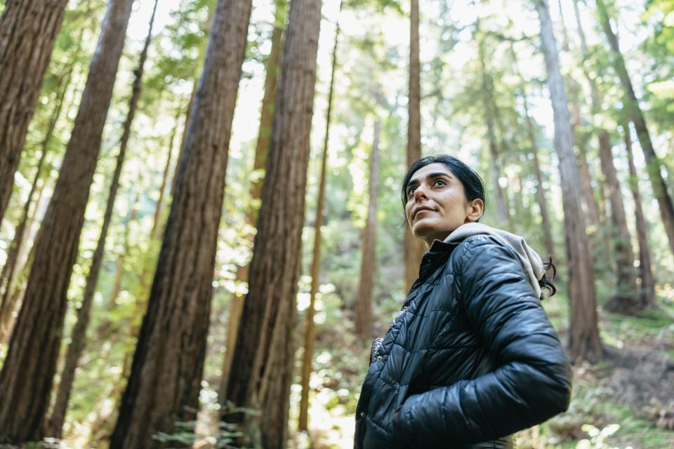 From San Francisco: Muir Woods National Monument Guided Tour - Tour Overview and Pricing