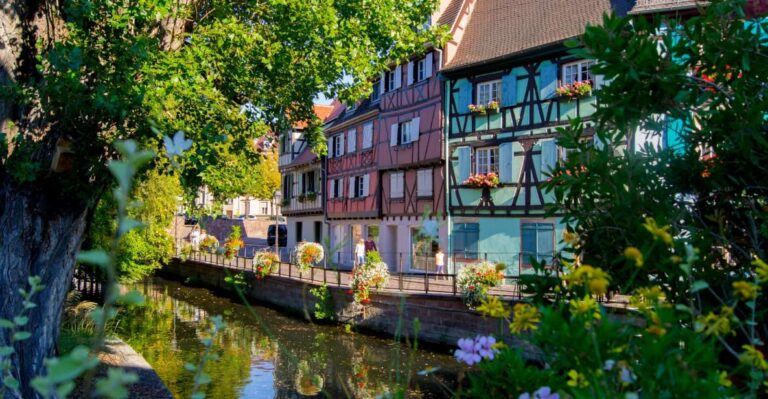 From Strasbourg: Best Of Alsace Historical Day Trip Tour Overview