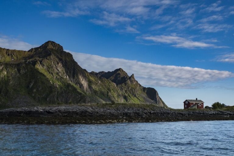 From Svolvaer: Trollfjorden Wildlife Rib Cruise Exploring The Dramatic Mountain Scenery