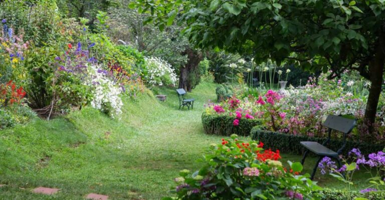 Funchal: Palheiro Gardens And Old Town Private Tuk Tuk Tour Tour Overview