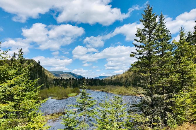 Guided Hike In Jacques Cartier National Park Highlights Of The Experience