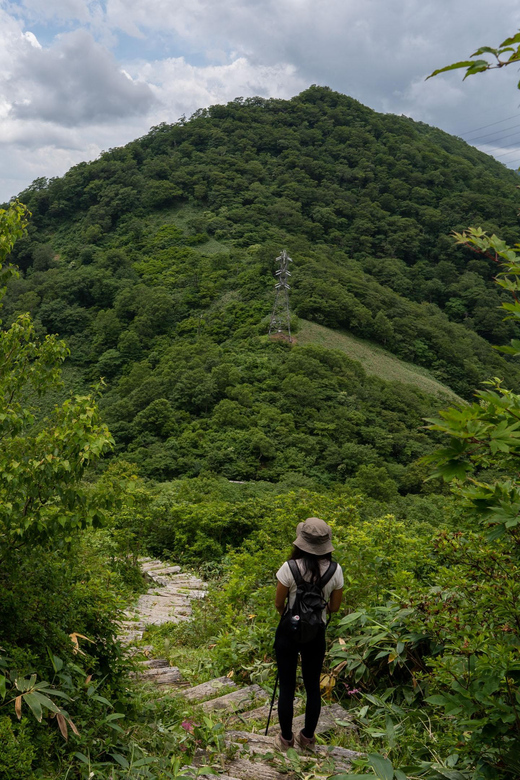 Half Day Hike To the Top of Old Mikuni-kaido Pass - Tour Overview