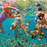 Half Day Snorkeling Cruise And Natural Pool With Open Bar Inclusions