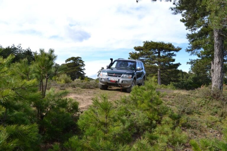 Halkidiki: Kassandra 4x4 Jeep Safari Off Road Experience Activity Overview