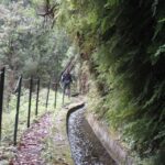 Hidden Corners, The Kings Levada Full Day Hike Activity Overview