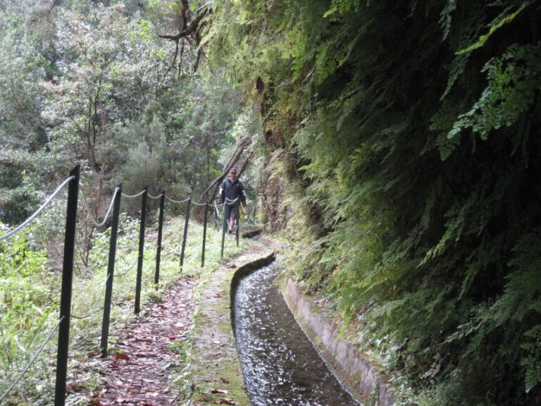 Hidden Corners, The Kings Levada Full Day Hike Activity Overview