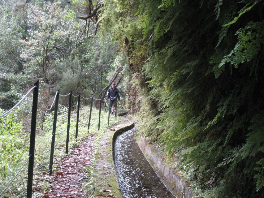 Hidden Corners, the Kings Levada Full Day Hike - Activity Overview